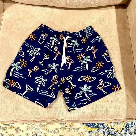 chubbies Swim Mens Chubbies Lined Swim Shorts Poshmark